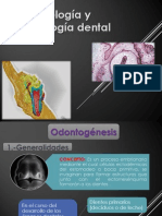 Odontogenesis ..1