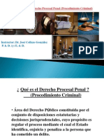 Derecho Procesal Penal