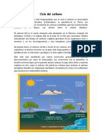 Ciclos Biogeoquimicos