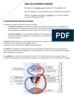 Le Sang Et La Circulation Sanguine