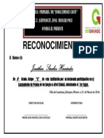 Reconocimiento - Docx Maestro