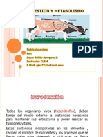 Digestion y Metabolismo Tpem