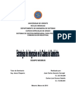 Estrategias de Integración en La Cadena de Suministro