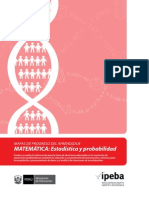 MapasProgreso Matematica EstadisticaProbabilidad