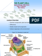 The Plant Cell