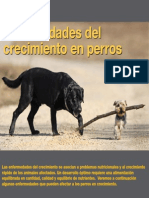 AV 35 Enfermedades Crecimiento Perros