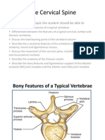 Cervical Anatomy