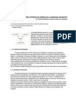 Los Tres Sistemas de Energía en La Medicina Higienista