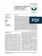 Optimizing The Row Spacing and Seeding Density To Improve Yield and Quality of Sugarcane