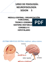 Neurofisiologia 5