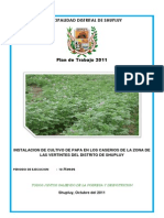 Proyecto Cultivo de Papa