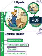 5 ElectricalSignals