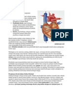 Cara Kerja Jantung