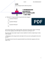 Questions Energy Flow Pyramids