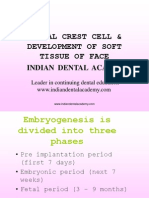 Neural Crest Cell / Orthodontic Courses by Indian Dental Academy