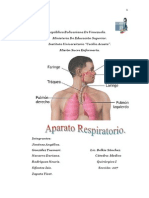 Anatomía Del Aparato Respiratorio