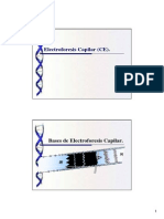 Electroforesis Capilar Presentacion