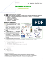 Chagas Malaria Toxo Leishmania