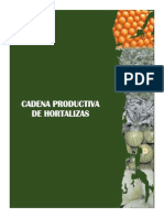 Cadena Productiva Hortalizas