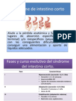 Síndrome de Intestino Corto