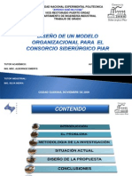 Diseno Modelo Organizacional Consorcio Siderurgico Piar