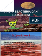 Archaebacteria Dan Eubacteria