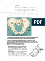 Anatomy Tut WK 30 - Pelvis 1