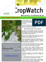 Adelaide Hills Crop Watch Downy Mildew Alert