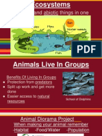 Apes Organic Ogs Presentation