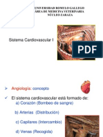 Sistema Cardiovascular