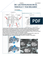 Patologias de La Via Biliar