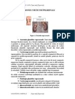 CORTICOSTEROIZII Corticosteroizii Curs