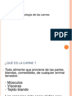Clase 1 - Tecnología Carnes