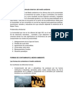 Acelerado Deterioro Del Medio Ambiente