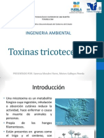 Toxinas Tricotecenos