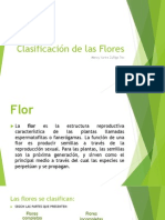 Clasificación de Las Flores