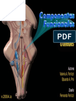 Componentes Funcionales de Los Nervios Craneales