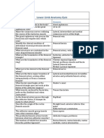 Lower Limb Anatomy Quiz: Questions Answers