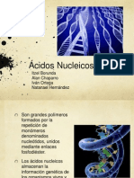 Acidos Nucleicos