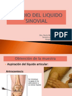 9 Liquido Sinovial