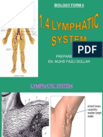 Sub 1.4 - Lymphatic System (Part 1)