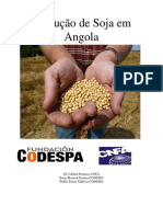 Producao Soja Angola