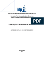 Antonio Carlos Croner de Abreu - A Redução Da Maioridade Penal