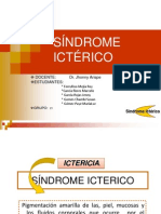 Sindrome Icterico Grupo 21