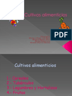 Cultivos Alimenticios