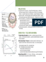 Hiv and Aids: Viral Life Cycle