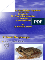 Unit 9: Body Plan of Higher Organisms: Vertebrates Exercise 1: The Frog, A Representative Vertebrate (Class Amphibia) By: Dr. Motasem Almasri