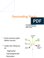 Descending Tracts: Dr. Niranjan Murthy H L Asst Prof of Physiology SSMC, Tumkur