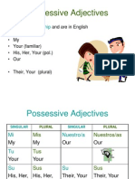 334 Possessive Adjectives