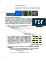 Lab 06 Classification and Dichotomous Keys